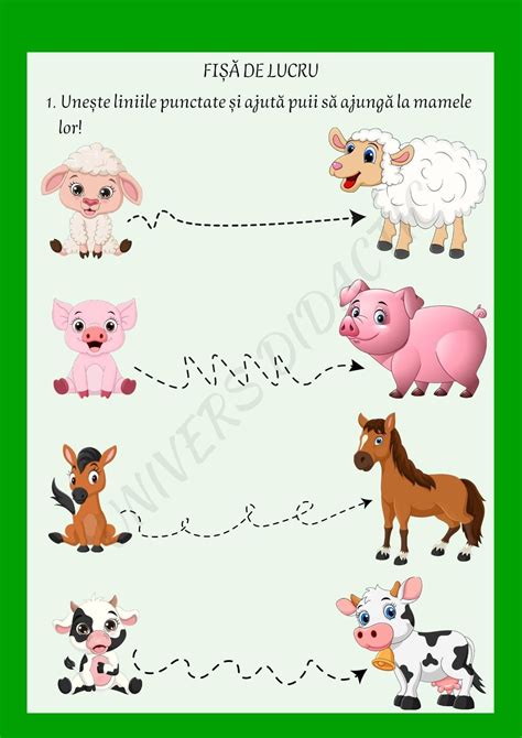 Farm Animals and Their Names in Spanish