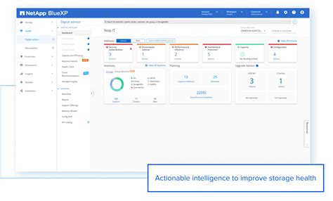 Image result for NetApp Cluexp Classification
