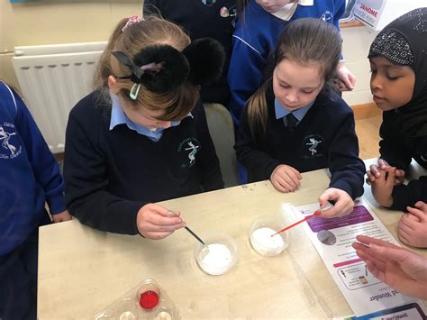 Image result for Science Week Projects