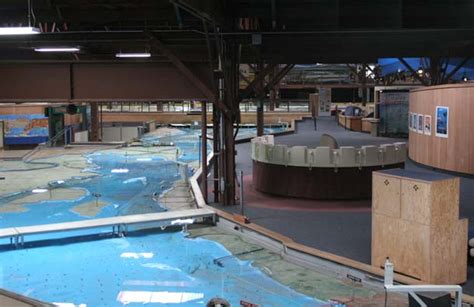 Image result for SF Bay Modeling