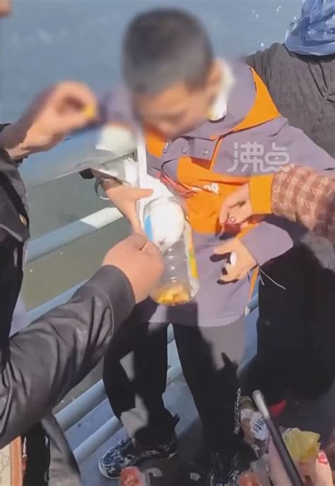 男孩抓海鸥塞瓶子，罚了！_深圳新闻网
