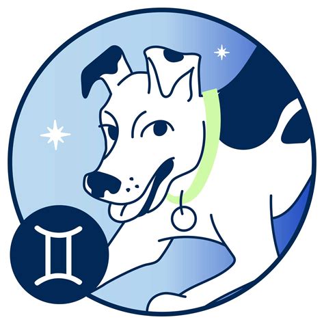 Gemini Animal Symbol Zodiac Icons. Astrology Horoscope With Signs.