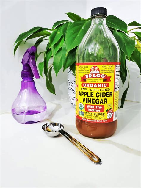 Apple Cider Vinegar Rust Removal