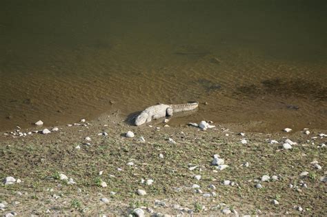 Marchula Tourism (2024): Best of Marchula, India - Tripadvisor