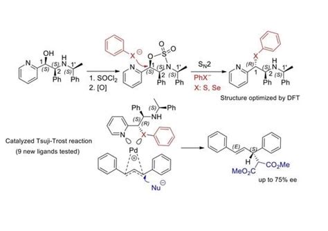 New Nitrogen, Sulfur-, and Selenium-Donating Ligands Derived from ...