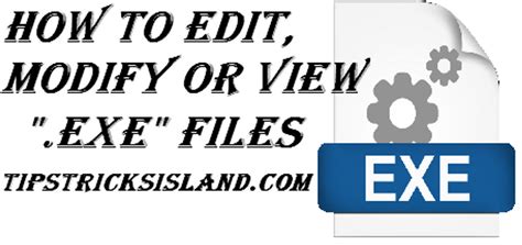 Image result for exe File Editor