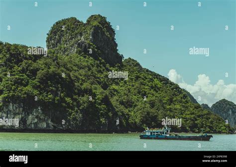 Vietnam 的图像结果