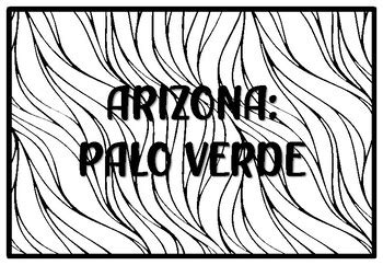 ARIZONA: PALO VERDE, State Tree Coloring Pages school resource by ...