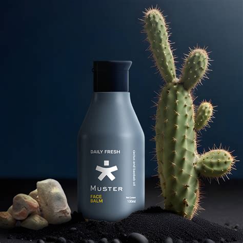 Best Hair Shampoo & Conditioner for Men: Sulphate & Paraben Free ...