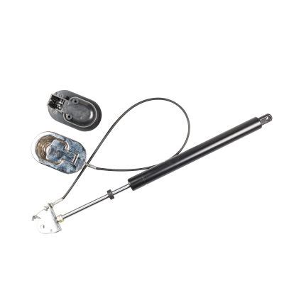 Image result for Aircraft Lockable Spring and Gas Strut