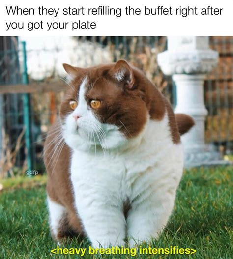 Heavy Breathing : r/memes