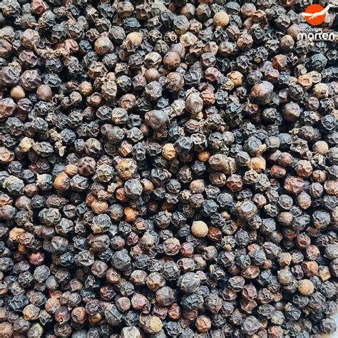 Discovery Kit: Tellicherry Pepper, Idukki Cardamom, Lakadong Turmeric ...