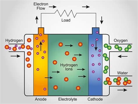 Fuel Cell Structure 的图像结果