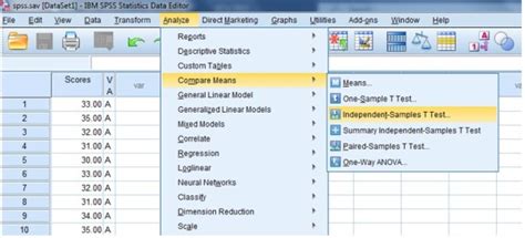 How to perform T-Test statistics in SPSS?