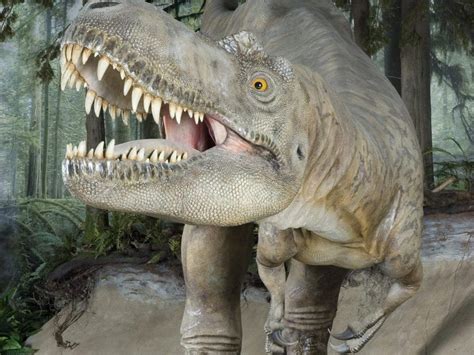 Image result for Dinosaur Using Computer Picture