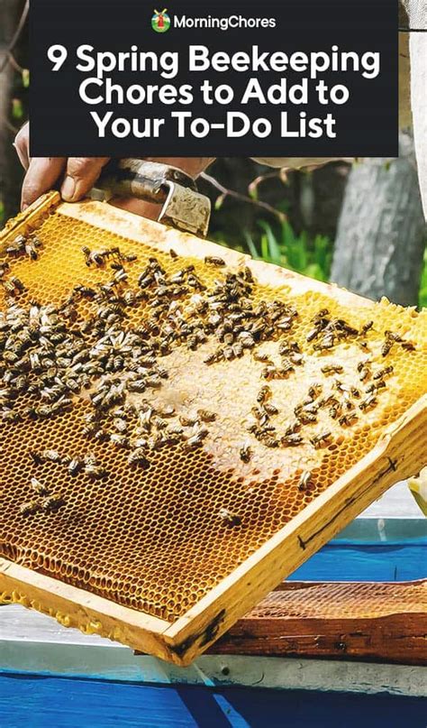 Image result for Spring Beekeeping