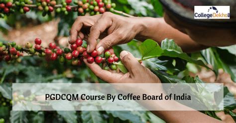 Coffee Board of India PG Diploma in Coffee Quality Management; Apply ...