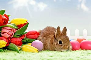 Image result for Easter Bunny Images. Free