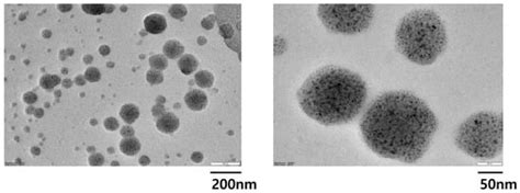 IJMS | Special Issue : Current Insights into the Role of Exosomes in ...