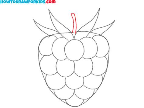 Image result for How to Draw Raspberry Pi