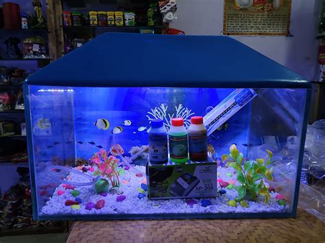 PRIYU 24 litres Aquarium Glass Tank Aquarium Set (9X9X18 Inches ...