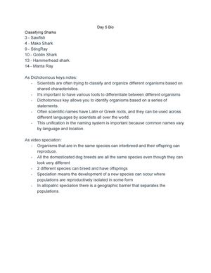 CSC Python Course 的图像结果