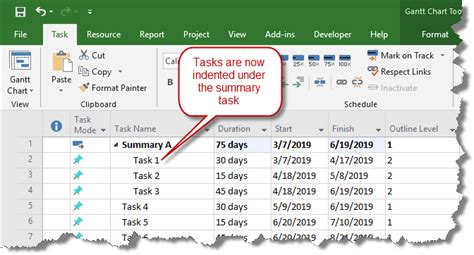 Image result for Summary Task MS Project