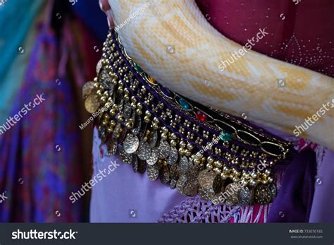 Image result for Python Snake Belly Dancer