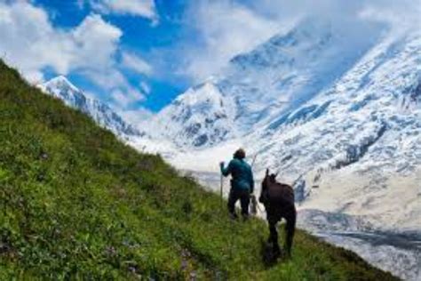 Mountain View Funeral Home Blairsville GA Services