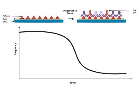 Image result for Rotating Crystal Method Fro Quartz Sample