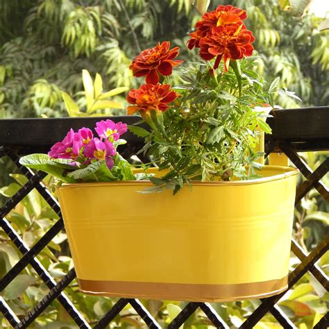 ecofynd 12 Inches Aurelia Railing Planters for Balcony, Hanging Pots ...