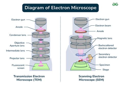 Image result for Electron Microscope Types
