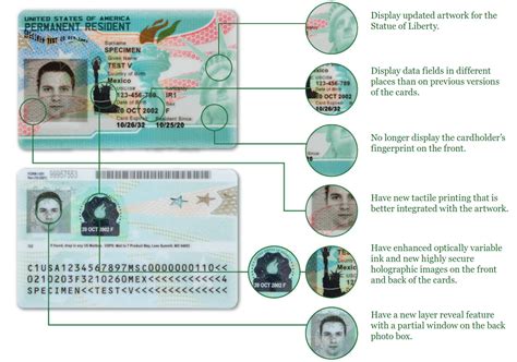 How to Read a Green Card: Explained!