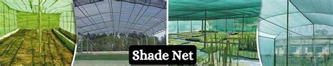 Amazon.in: Vahi Enterprises: Shade Net