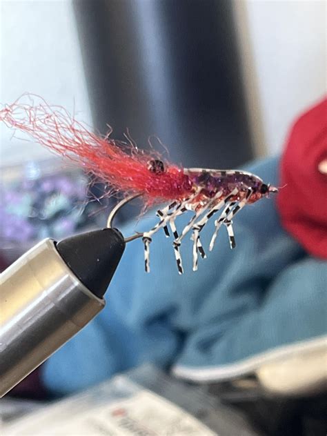 Simple Shrimp Fly Patterns 的图像结果
