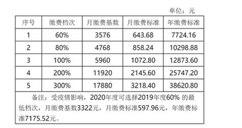 绍兴2024年社保缴费多少,最低基数企业单位个人各交多少