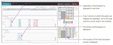 Dedoose Tutorial 的图像结果
