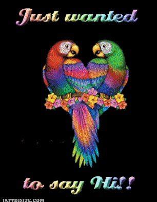 Image result for Hello