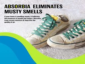 Absorbia Moisture Absorber Hanging Pouch | Mountain Fresh Fragrance ...