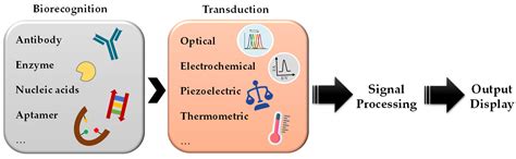 Emerging Optical Materials in Sensing and Discovery of Bioactive Compounds