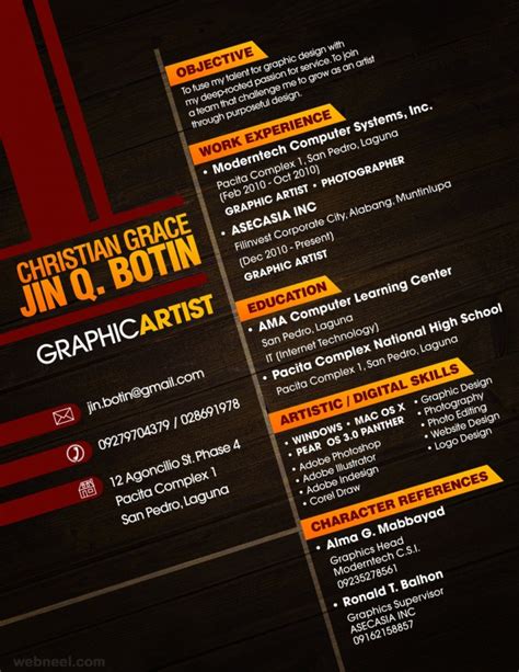 Image result for Creative CV Design