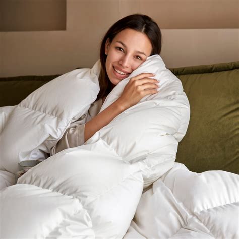 baisihan OverCloud™ Goose Down Comforter, Queen Size All Seasons Down ...