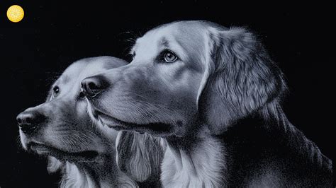 Image result for Convert XCS File to PNG