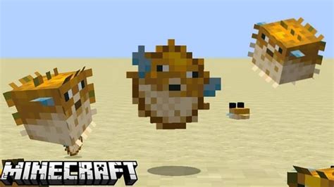 Image result for Minecraft Puffer Fish Board