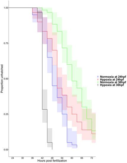 Matrix Metalloproteinase 13 Activity is Required for Normal and Hypoxia ...