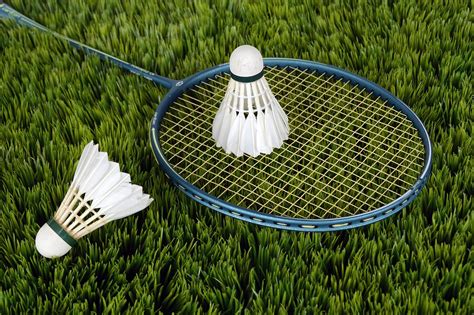 Badminton Cartoon Images 的图像结果