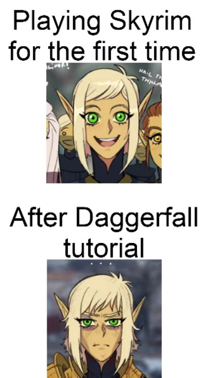 Daggerfall Tutorial 的图像结果