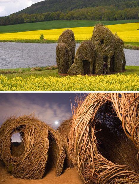 Treehouse 的图像结果