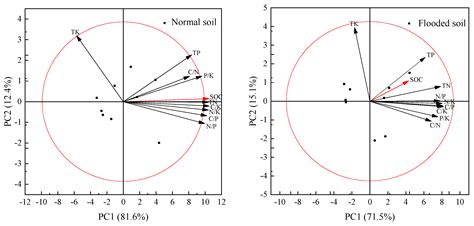 Periodic Flooding Decoupled the Relations of Soil C, N, P, and K ...