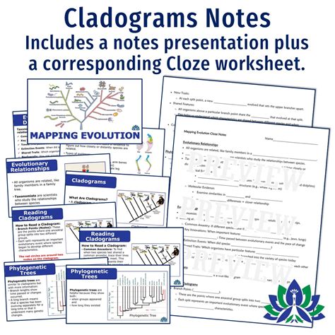 Image result for Science Cladogram